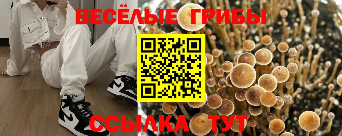 Галлюциногенные грибы MAGIC MUSHROOMS  Вход с VPN  Урус-Мартан  Псилоцибиновые грибы ЛСД 
